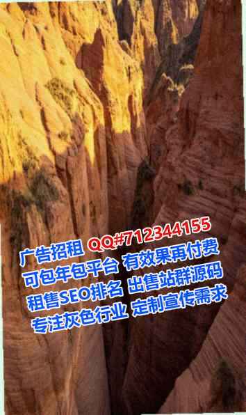 东洲代母信息技术门市部